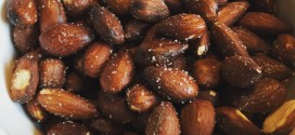 LCHF saltmandler